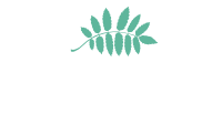 Clean Slate Healthy Living