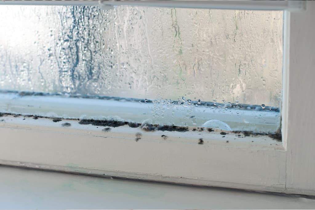 How to inspect for mold: look around windows and doors to check for water damage.