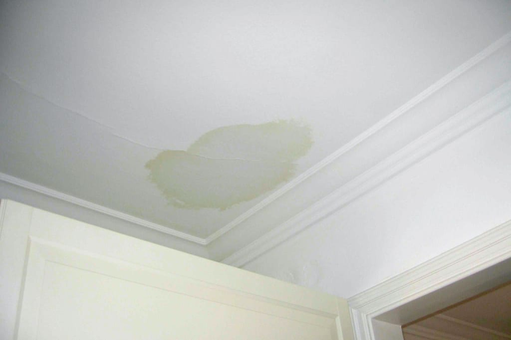 How to inspect for mold: look for water stains on ceilings or walls. Water stains are a warning sign for mold.