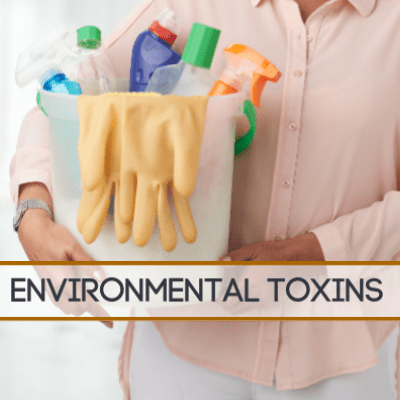 Clean Slate Healthy Living Environmental Toxins